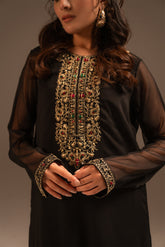 2 Piece Chiffon Embroidered Suit (FS0053)